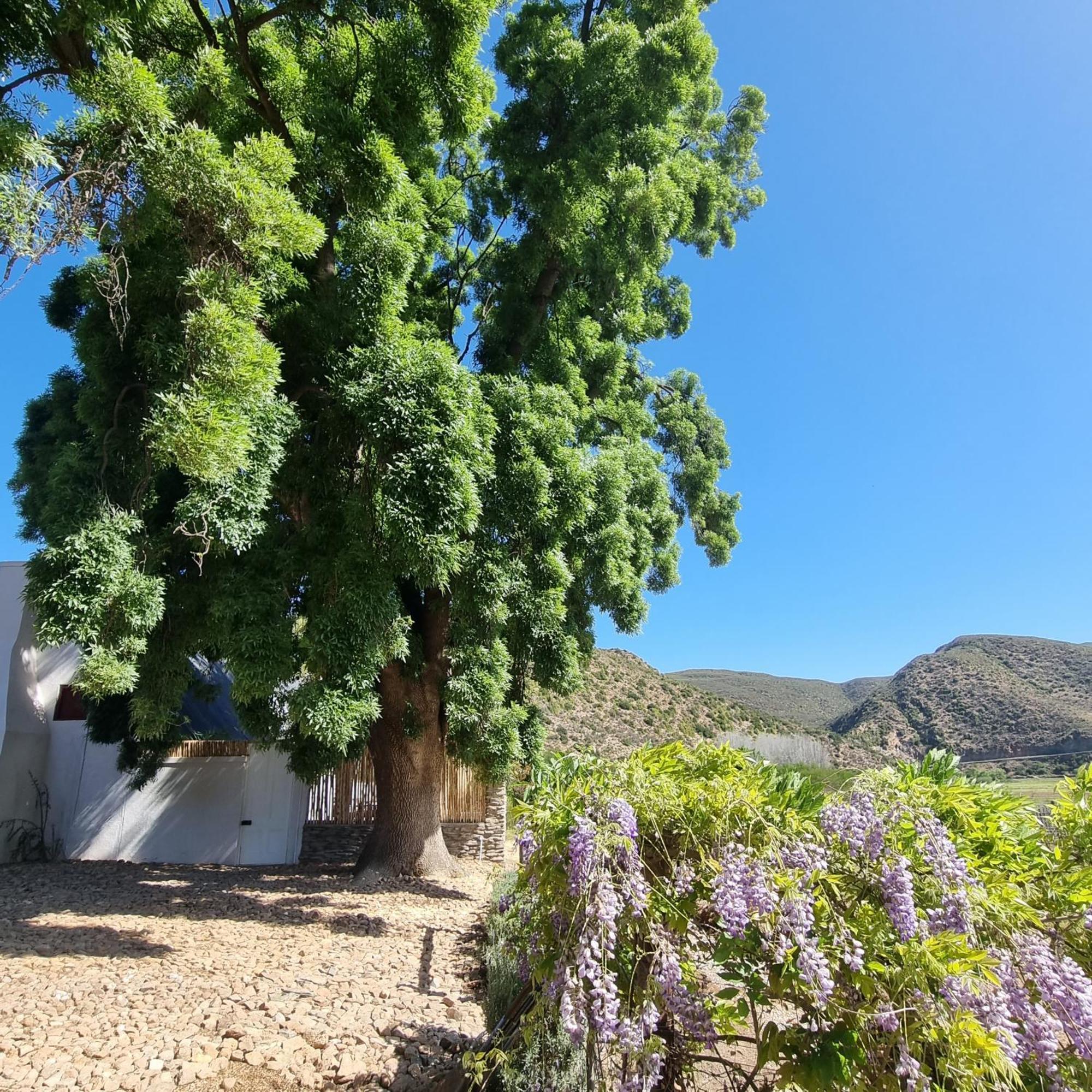 De Kombuys Oudtshoorn Exteriér fotografie